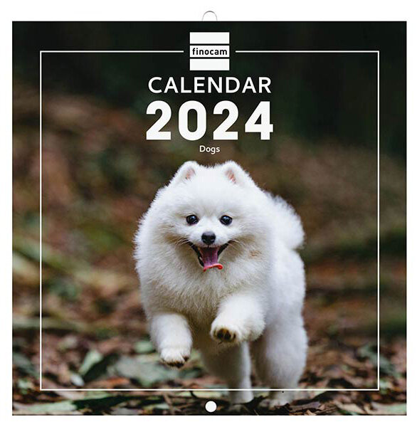 CALENDARIO 2024 PARED DOGS 18X18 INTL