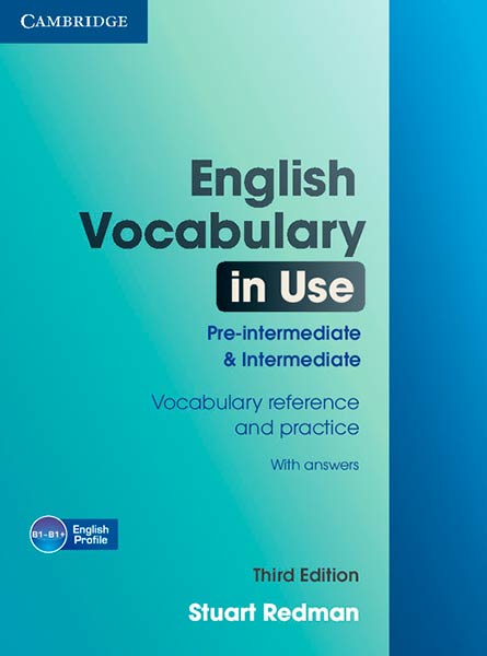ENGLISH VOCABULARY IN USE PRE-INTERMEDIATE 3 WITH ANSWERS