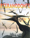 PTERANODONTE