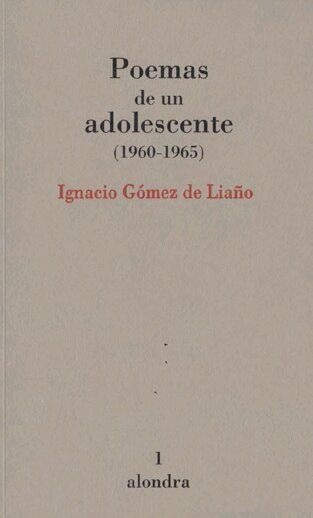 POEMAS DE UN ADOLESCENTE 1960 1965