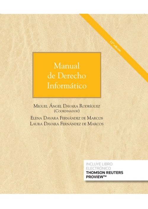MANUAL DE DERECHO INFORMATICO (PAPEL + E-BOOK)