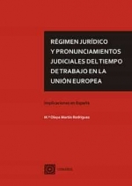 REGIMEN JURIDICO Y PRONUNCIAMIENTOS JUDICIALES DEL TIEMPO D