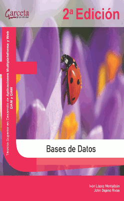 BASES DE DATOS 2 EDICION