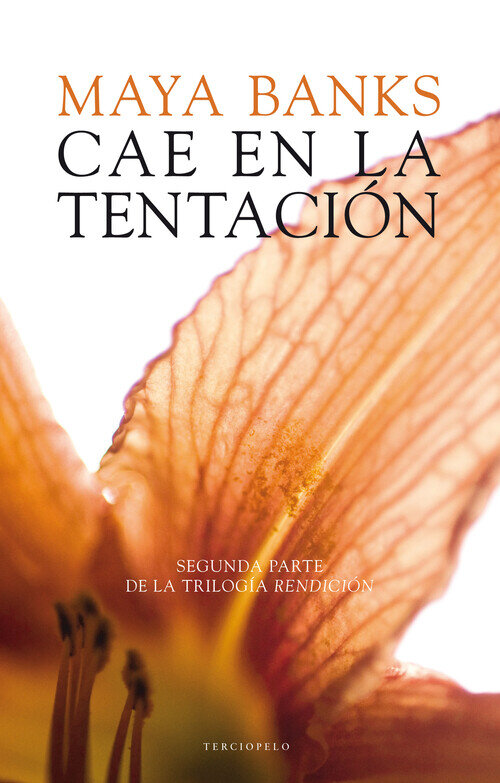 CAE EN LA TENTACION (RENDICION 2)