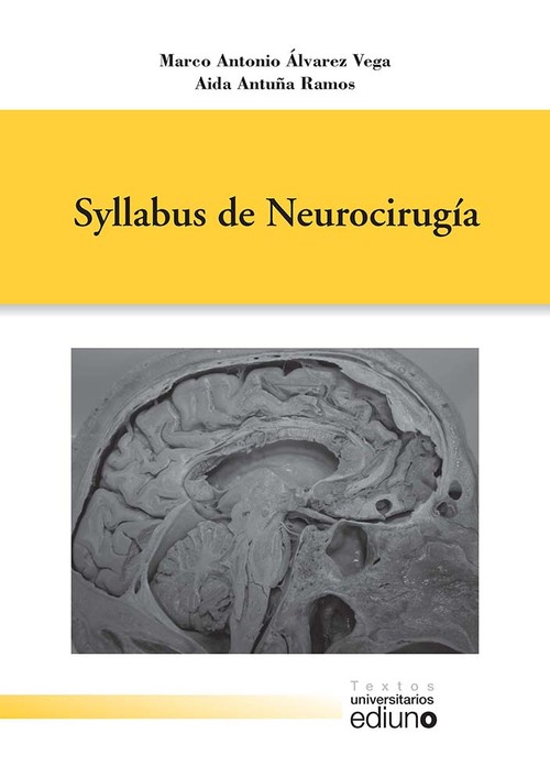 SYLLABUS DE NEUROCIRUGIA
