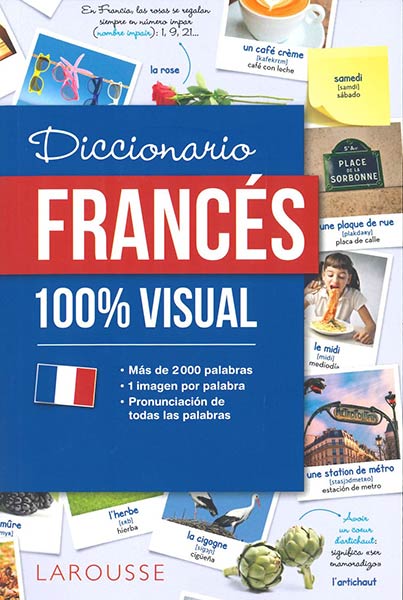DICCIONARIO DE FRANCES 100% VISUAL