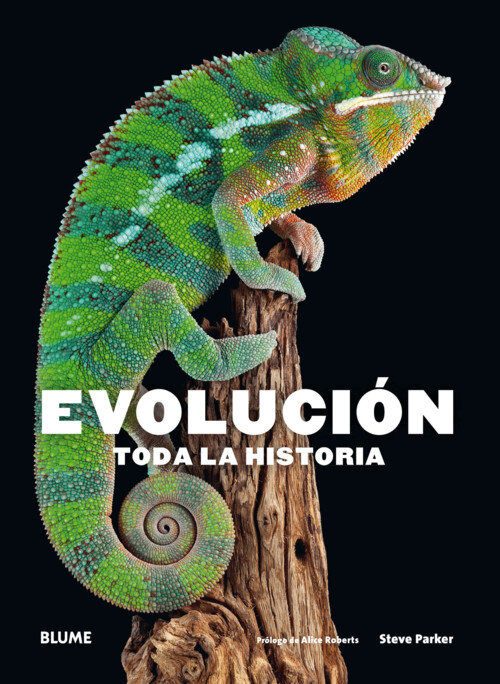EVOLUCION, TODA LA HISTORIA (2018)