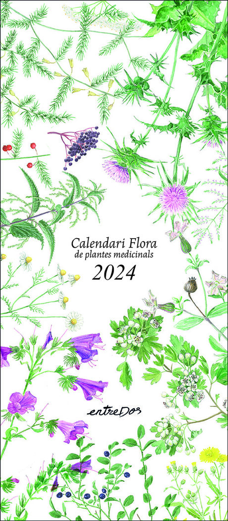 CALENDARI FLORA DE PLANTES MEDICINALS 2024
