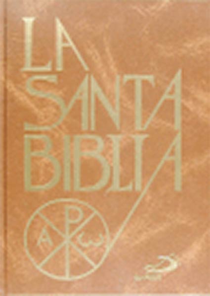 SANTA BIBLIA (ACOLCHADA)