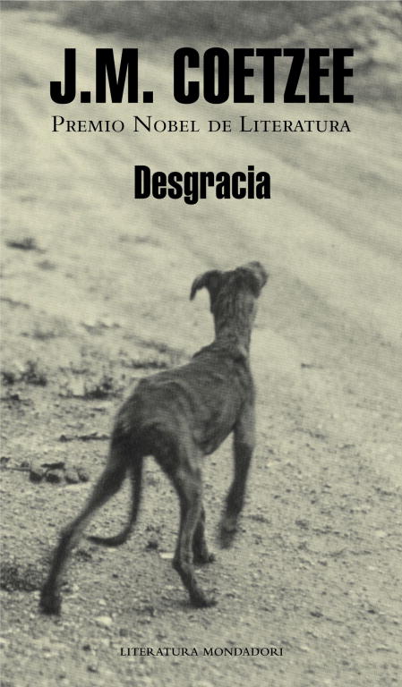 DESGRACIA (TD-2009)