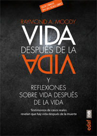 VIDA DESPUES DE LA VIDA Y REFLEXIONES S/VIDA