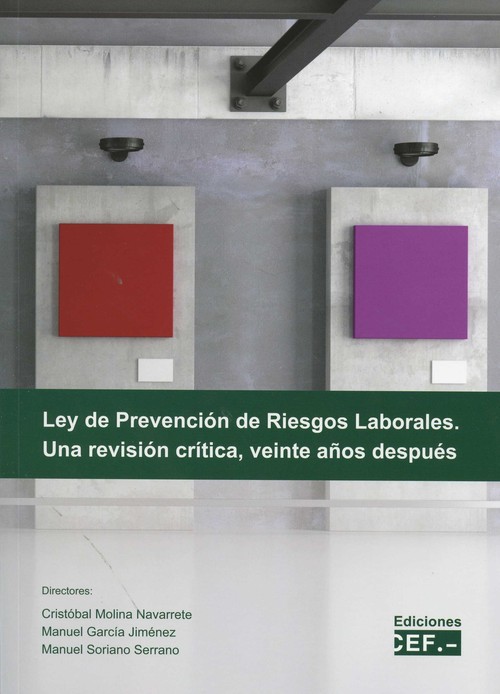 LEY DE PREVENCION DE RIESGOS LABORALES, UNA REVISION CRITICA