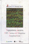 TOPONIMIA NAVARRA, VIII, CUENCA DE PAMPLONA, PAMPLONA/IRUA