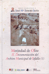 MERINDAD DE OLITE, II, DOCUMENTACION DEL ARCHIVO MUNICIPAL