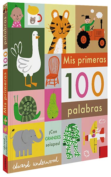 MIS PRIMERAS 100 PALABRAS (LIBRO CON SOLAPAS)
