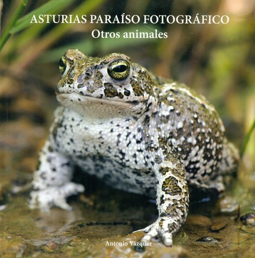 ASTURIAS PARAISO FOTOGRAFICO-OTROS ANIMALES