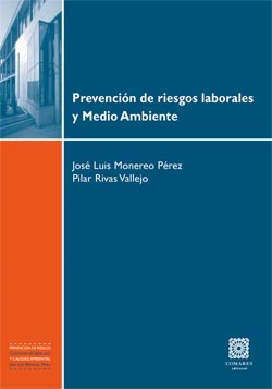 PREVENCION DE LOS RIESGOS MEDIOAMBIENTALES EN EL AMBITO DE L