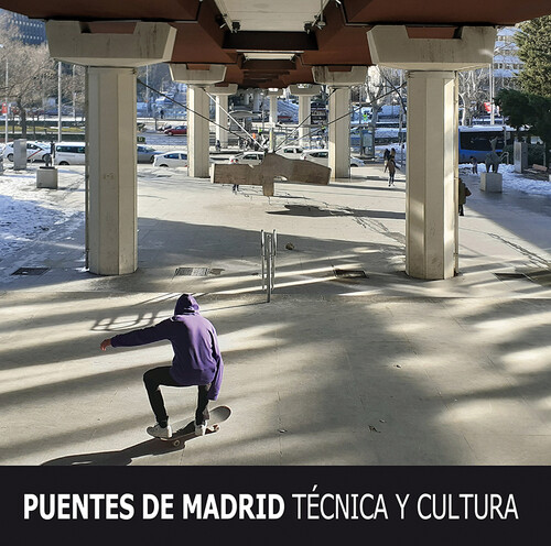 PUENTES DE MADRID. TECNICA Y CULTURA