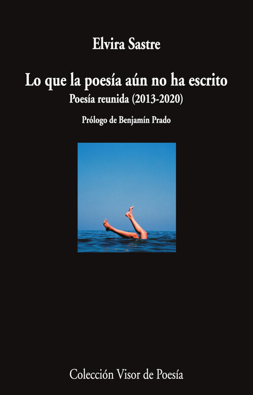 DIAS SIN TI (PREMIO BIBLIOTECA BREVE 2019)