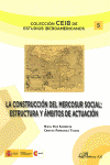 CONSTRUCCION DEL MERCOSUR SOCIAL. ESTRUCTURA Y AMBITOS DE AC