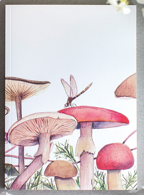 BOLI BIC BOTANICAL LADY DESIDIA TINTA NEGRA