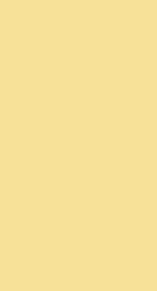 CARTULINA A4 CREMA - 50U PACK