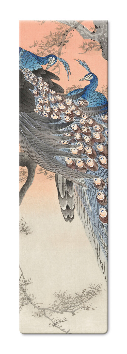 MARCAPAGINAS MAGNETICO PAVOS REALES