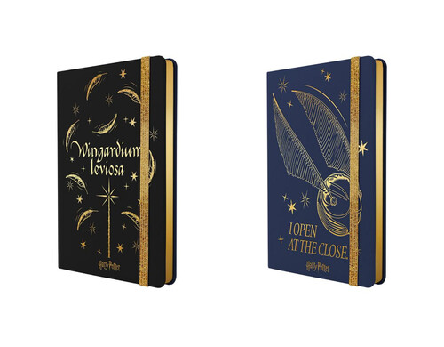 CUADERNO NOTAS A5 96H HN HARRY POTTER TAPA DURA - EXP. 12U