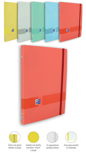 CARPETA CLASIFICADORA A4+ COLORES SURTIDOS T. EXTRADURA