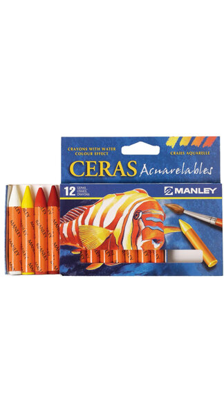 CERAS MANLEY 12U AZUL CELESTE (17)