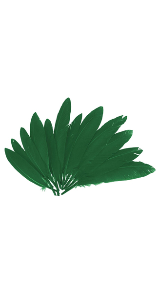 PLUMAS INDIO VERDE-60U BOLSA