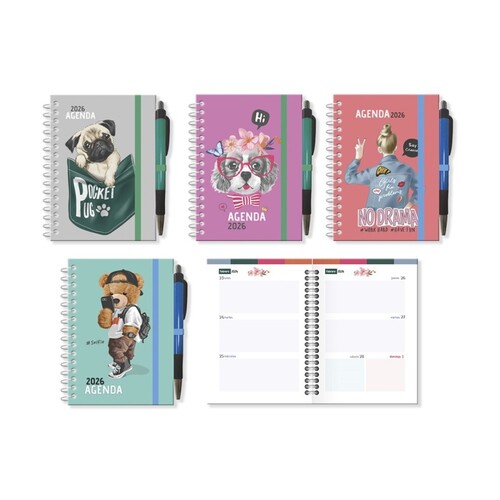 AGENDA 2026 A5 DP PARIS TAPA RIGIDA COLORES SURTIDOS