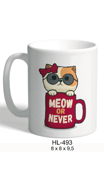 TAZA CERAMICA GATO METIDO EN TAZA CON MENSAJE MEOW OR NEVER