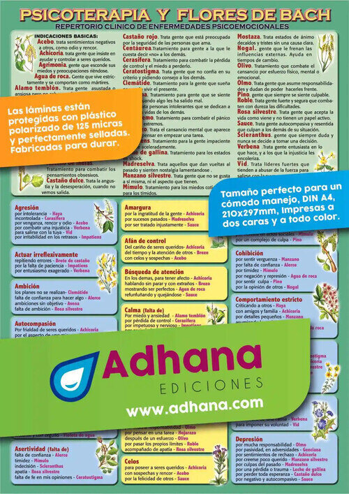 PSICOTERAPIA Y FLORES BACH LAMINA