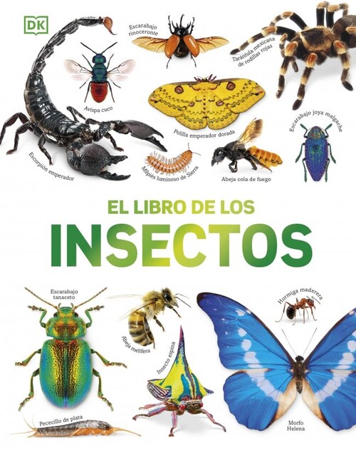 CASA DE MU�ECAS DE GABBY, LA - LIBRO CARRUSEL