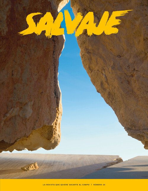 REVISTA SALVAJE