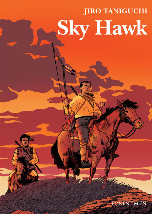 SKY HAWK 2ED