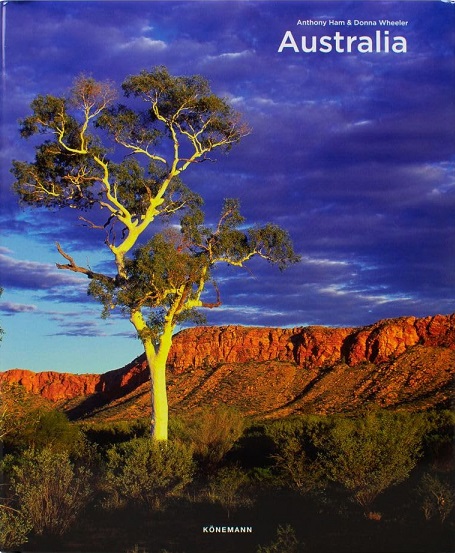 ARQUEOLOGIA DE CAMPO