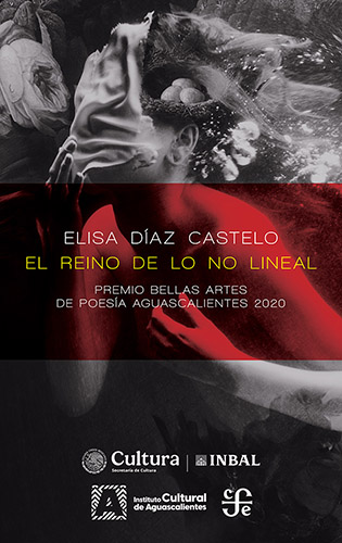 REINO DE LO NO LINEAL, EL