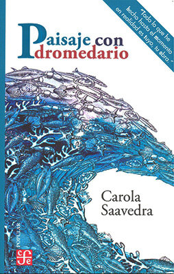 PAISAJE CON DROMEDARIO