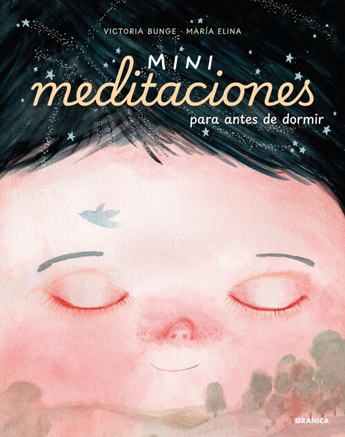 MINIMEDITACIONES PARA ANTES DE IR A DORMIR