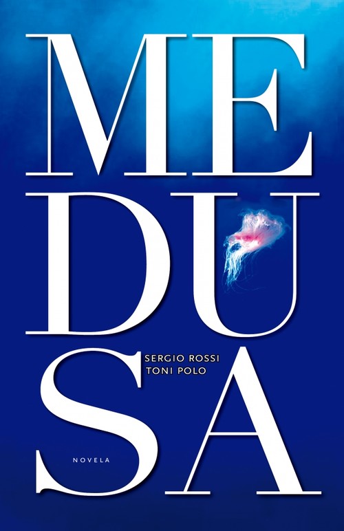 CEMENTERIO DE ICEBERGS,EL