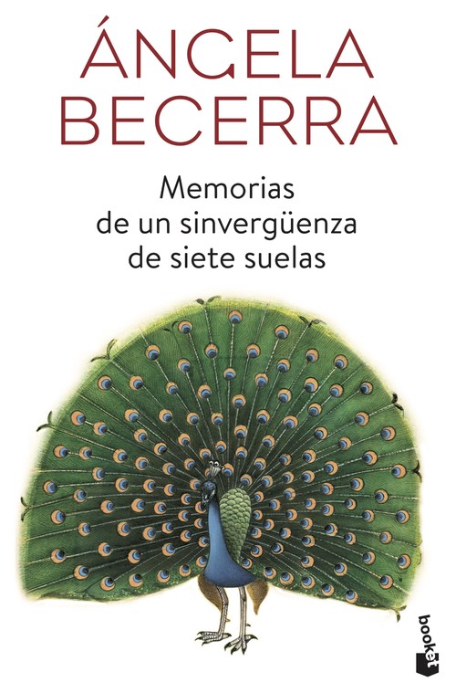 MEMORIAS DE UN SINVERGUENZA DE SIETE SUELAS