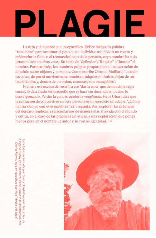 PLAGIE COPIE MANIPULE ROBE REESCRIBA ESTE LIBRO