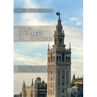 LAICO EN EL CAMINO DE LA SINODALIDAD, EL