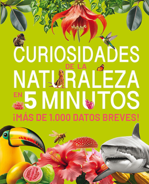 TOP TEN LOS DIEZ INSECTOS MAS RAROS