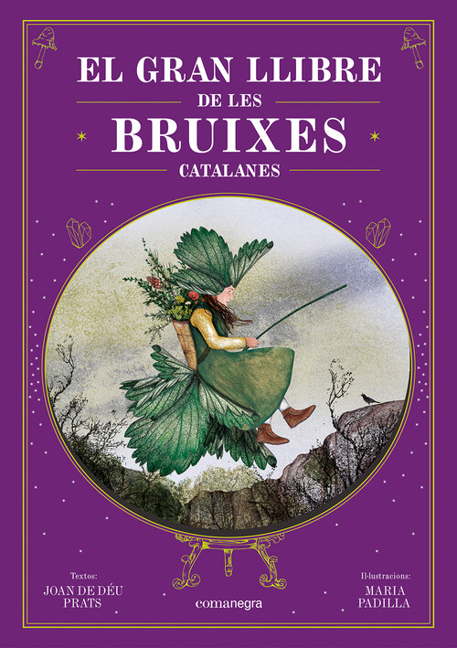 GRAN LLIBRE DE L'IMAGINARI FANTASTIC CATALA, EL