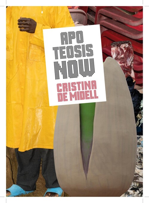 APOTEOSIS NOW (ENGLISH EDITION)