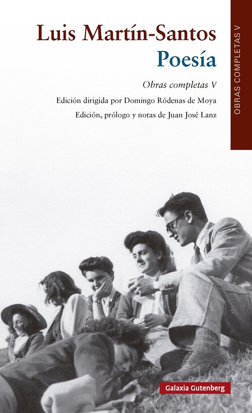 POESIA. VOL. V OOCC LUIS MARTIN-SANTOS