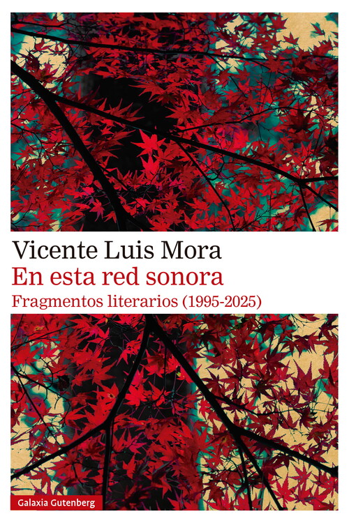 CONSTRUIR LECTORES